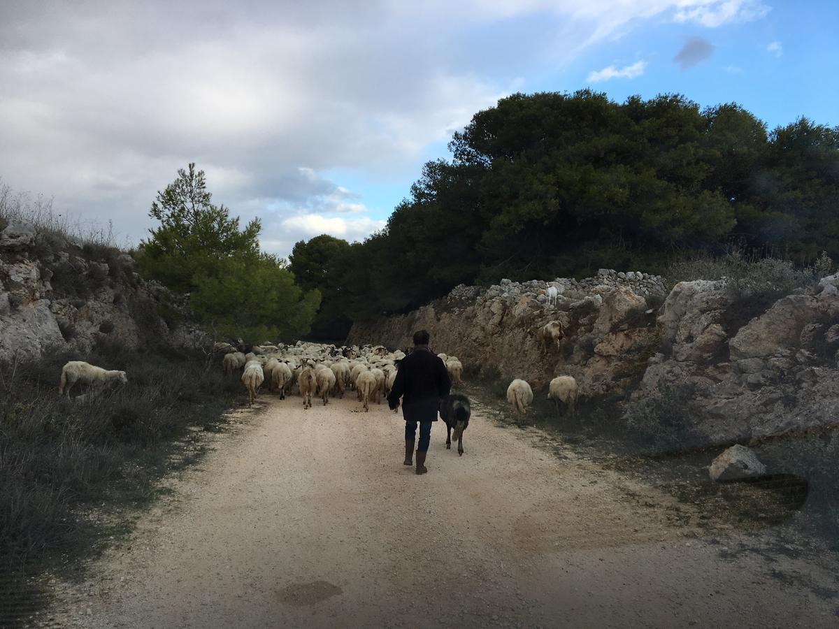 Le Capase Resort Salento Santa Cesarea Terme Kültér fotó